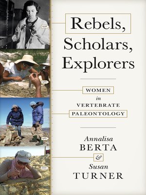 cover image of Rebels, Scholars, Explorers